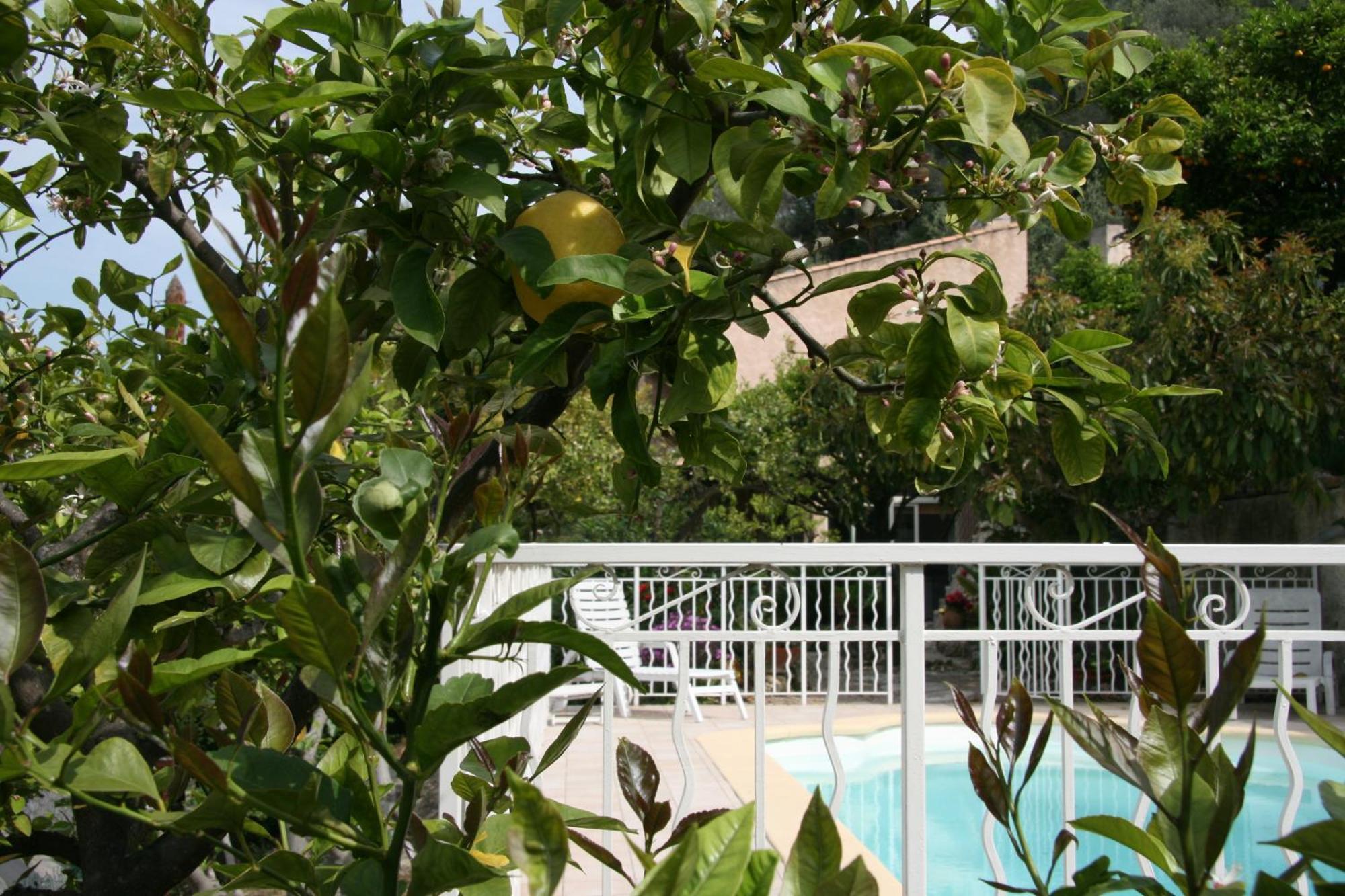 L'Aleandra Hotel Castellar Ngoại thất bức ảnh